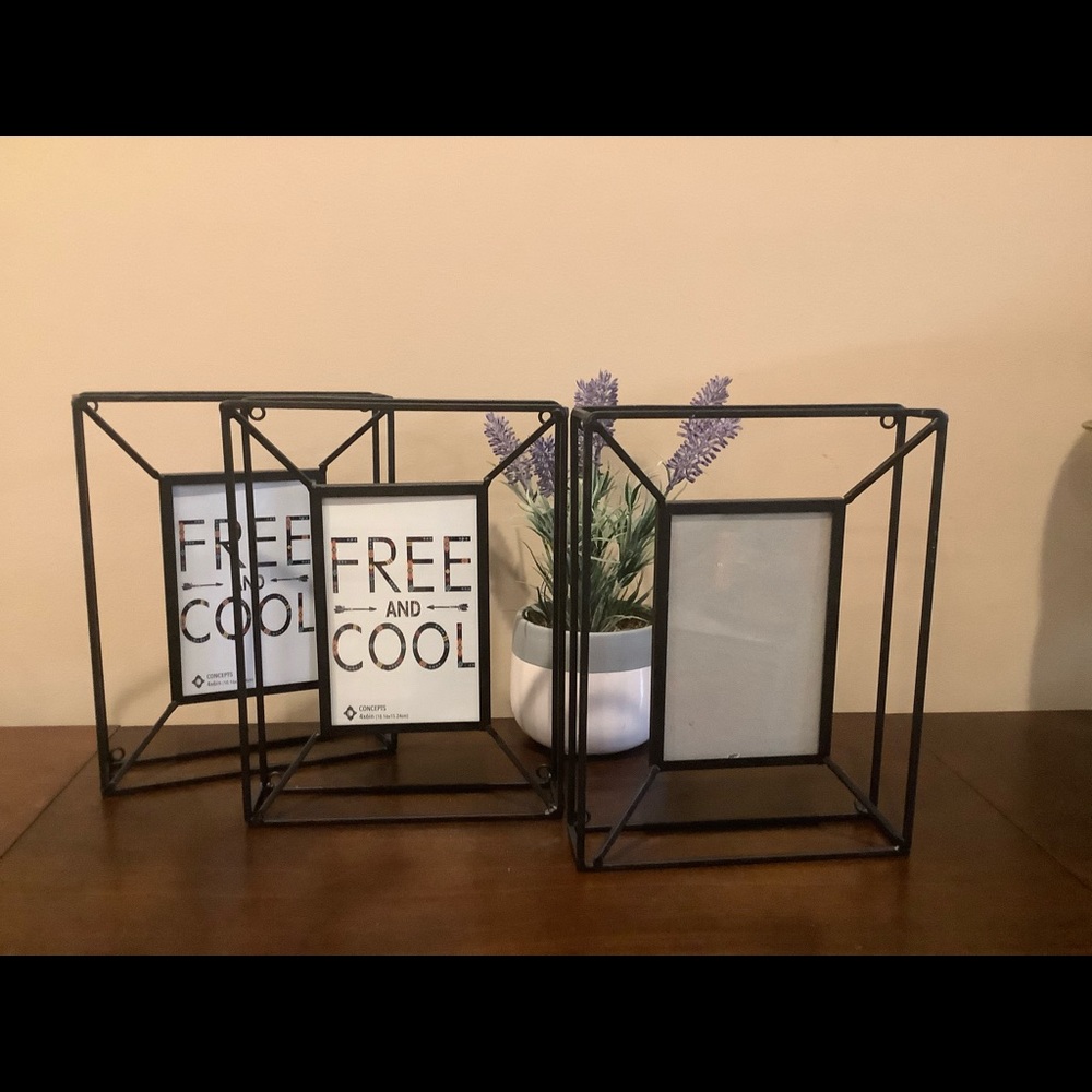 3 Wall Hanging Metal 3-D Picture Frames 🖼